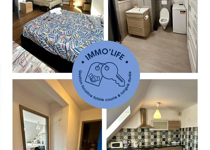 4 Personnes En Plein Centre De Apartament Colmar